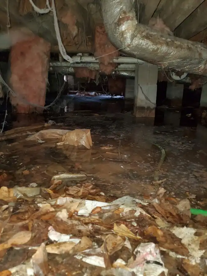 Crawl space flood assessment for Commercial Water Damage Restoration in New Albany